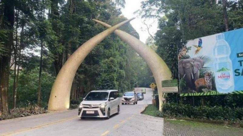 Di Balik Layar Sirkus: Dugaan Eksploitasi di OCI Taman Safari dan Pelajaran tentang Ruang Kerja yang Manusiawi